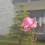 La Rosa Dei Venti Bed & Breakfast 3*