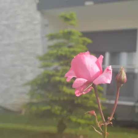 La Rosa Dei Venti Panzió 3*