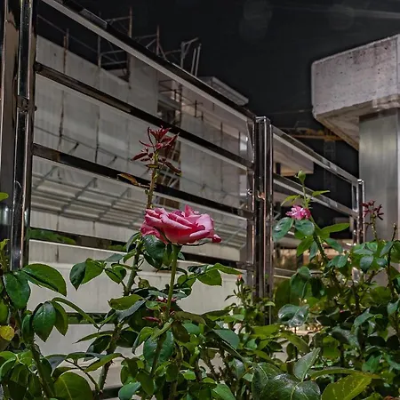 Panzió La Rosa Dei Venti 3*