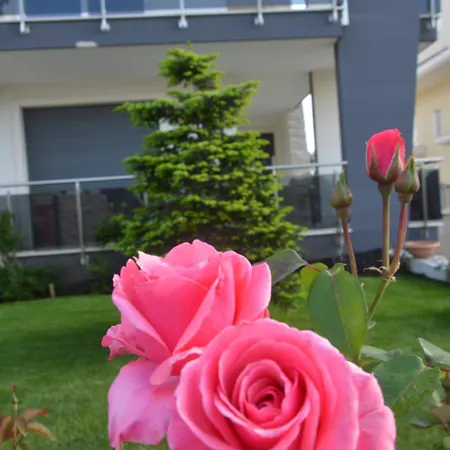 La Rosa Dei Venti Oda ve Kahvaltı