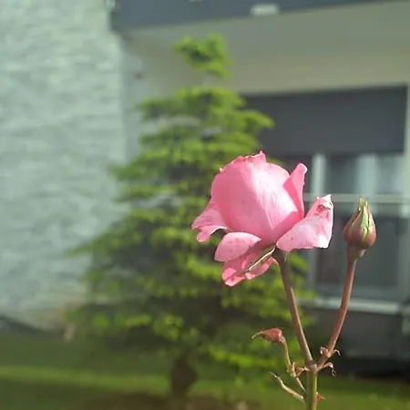 La Rosa Dei Venti Oda ve Kahvaltı
