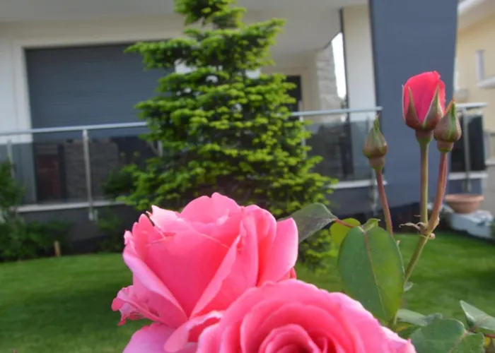 La Rosa Dei Venti Bed & Breakfast